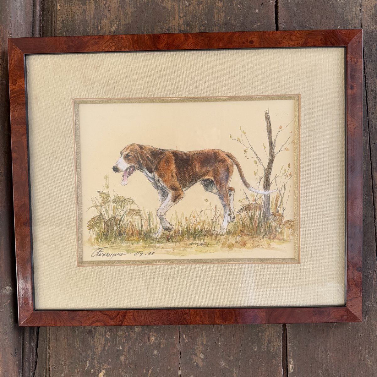 Aquarelle chien de chasse C. Farvacques-photo-4