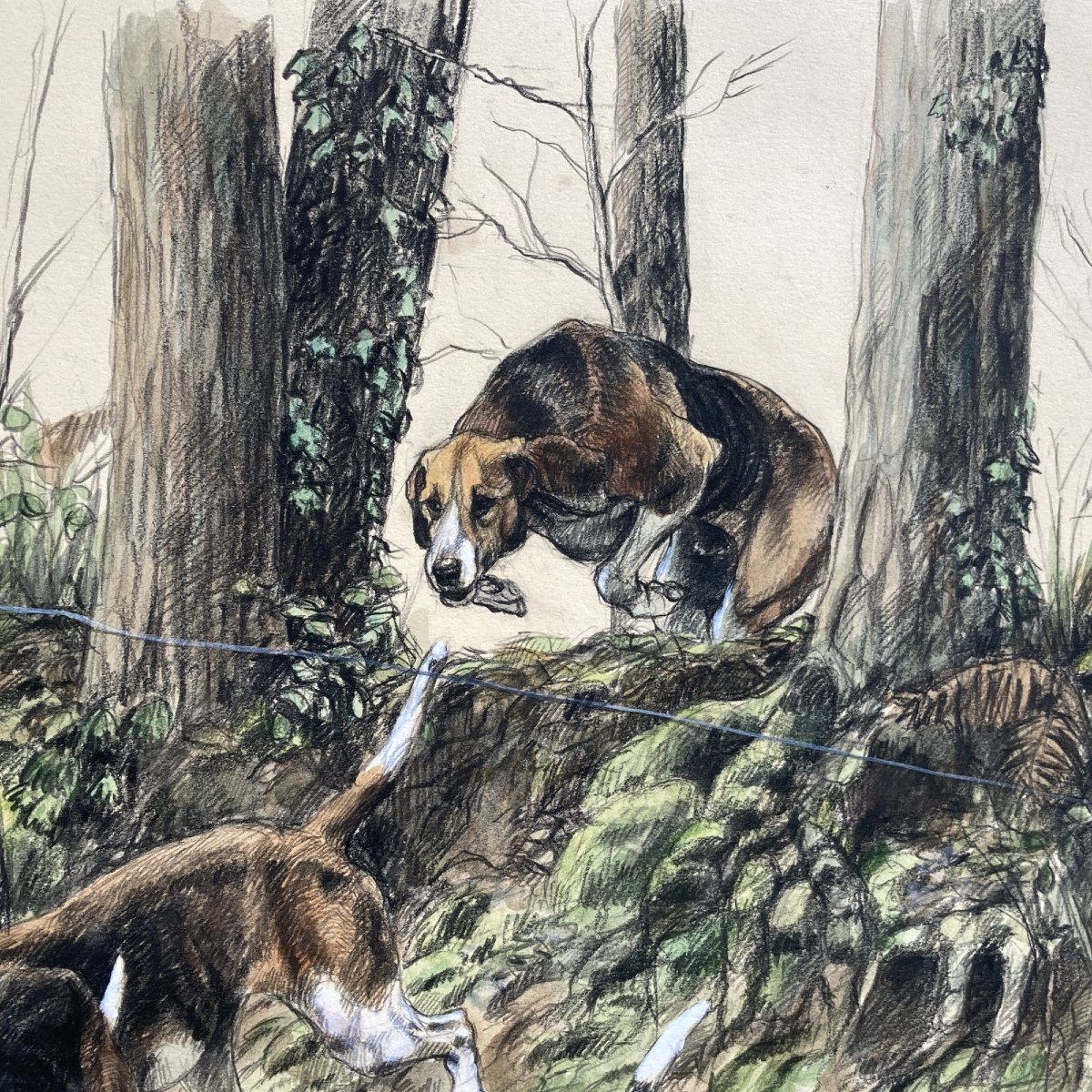 Aquarelle de Catherine Farvacques-photo-4