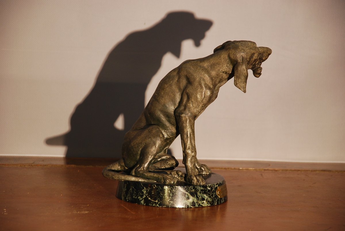 Chien De Chasse-photo-4