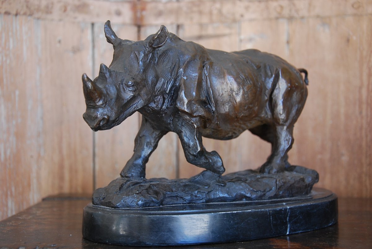 Rhinocéros En Bronze-photo-2