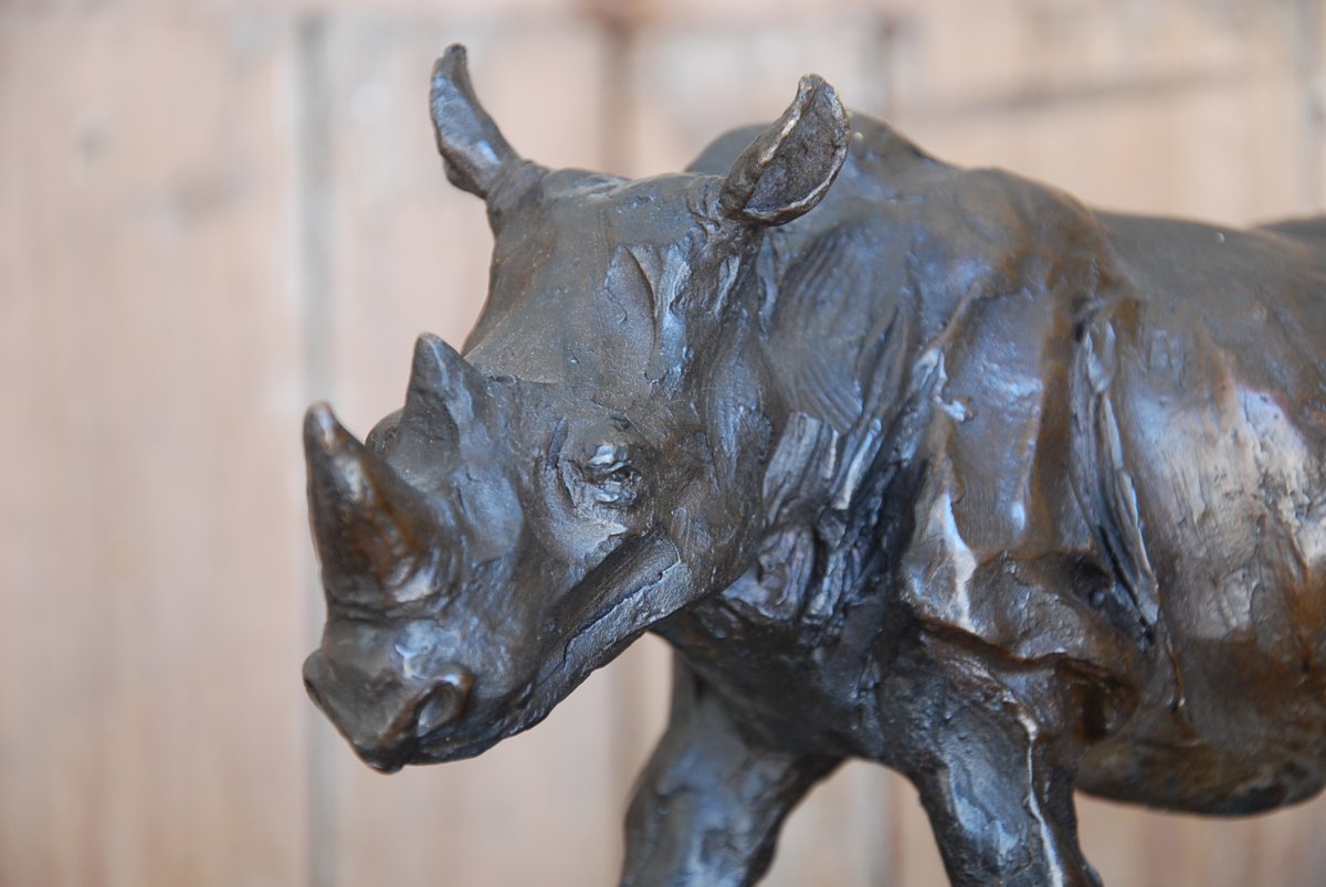 Rhinocéros En Bronze-photo-3