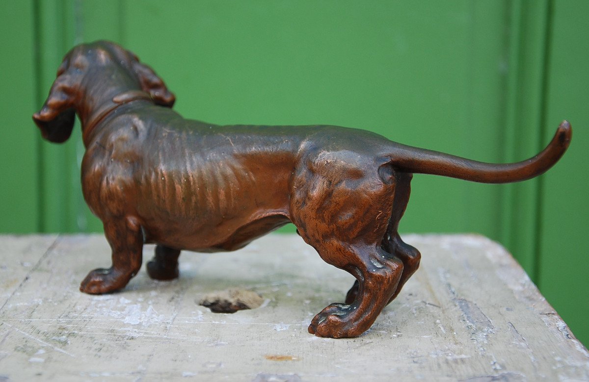 Dachshund In Bronze Late Nineteenth-photo-4