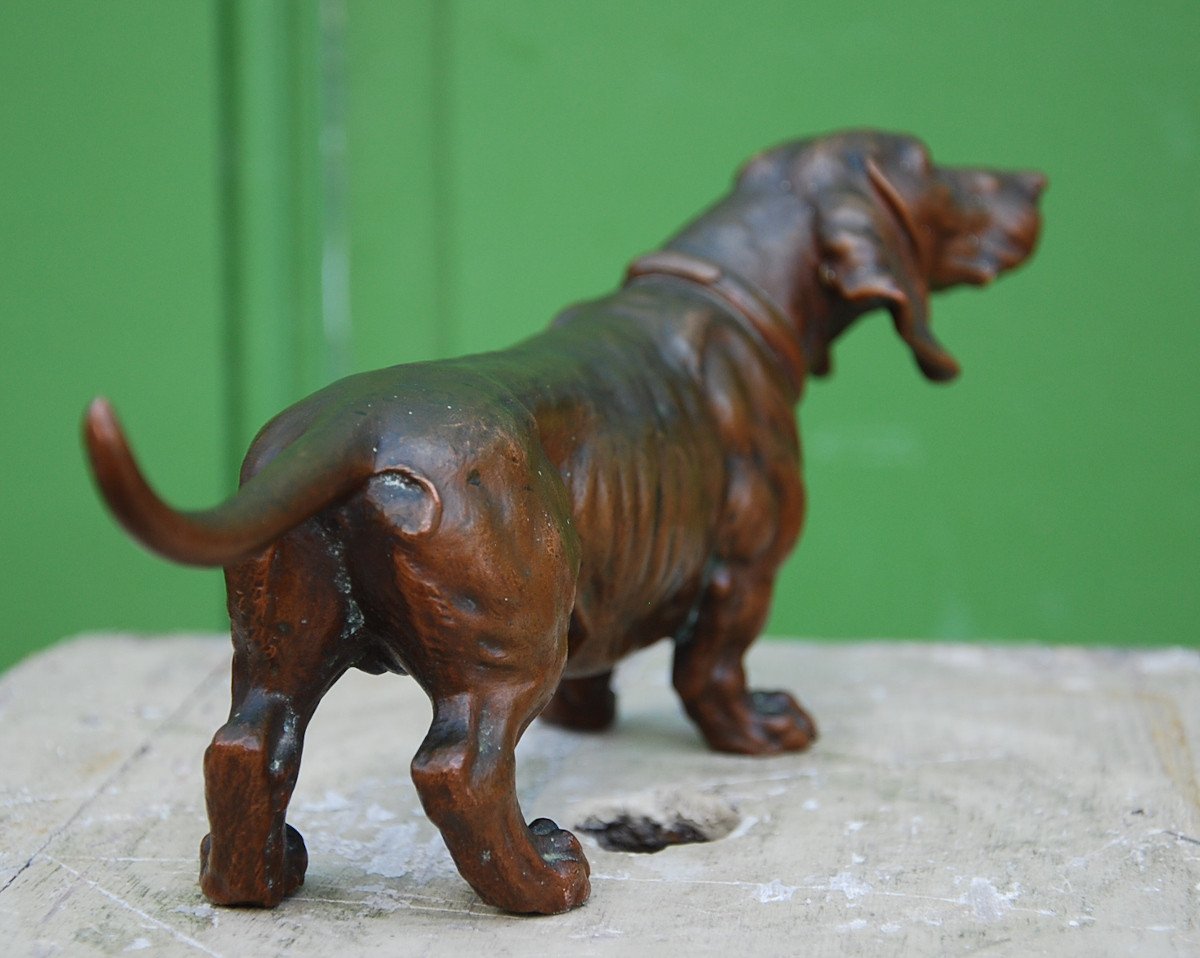 Dachshund In Bronze Late Nineteenth-photo-1