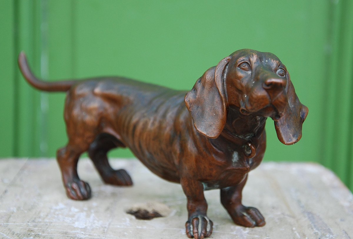 Dachshund In Bronze Late Nineteenth