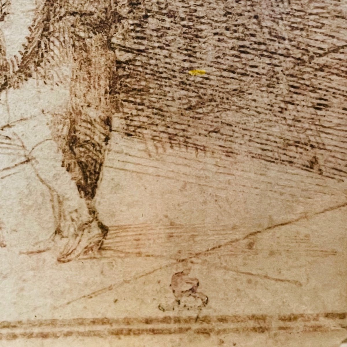 Drawing Attributed To Giovanni Battista Pittoni (1687-1767)-photo-4