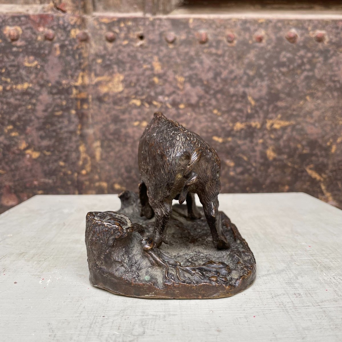 Bronze Boar-photo-3