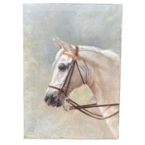 Portrait De Cheval Par Detaille (1848-1912)