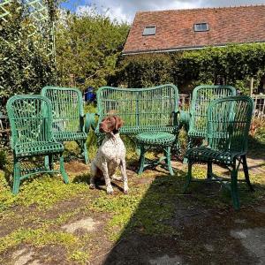 Salon De Jardin Vert