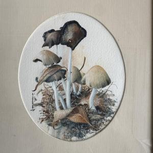 Aquarelle naturaliste aux champignons sous bois