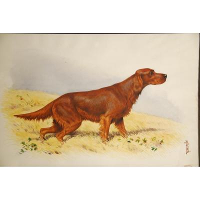 Aquarelle Chien De Chasse A l'ArrÊt Boris Riab