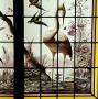882007-alb-61d9ca69004a6.jpg