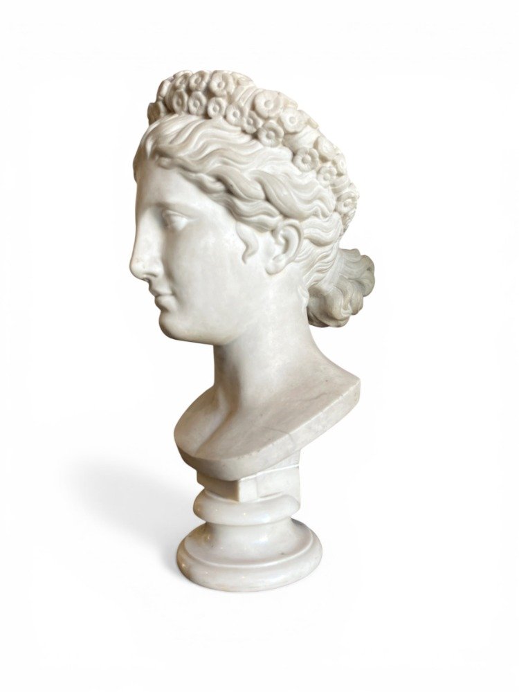 Buste de Vénus-photo-2