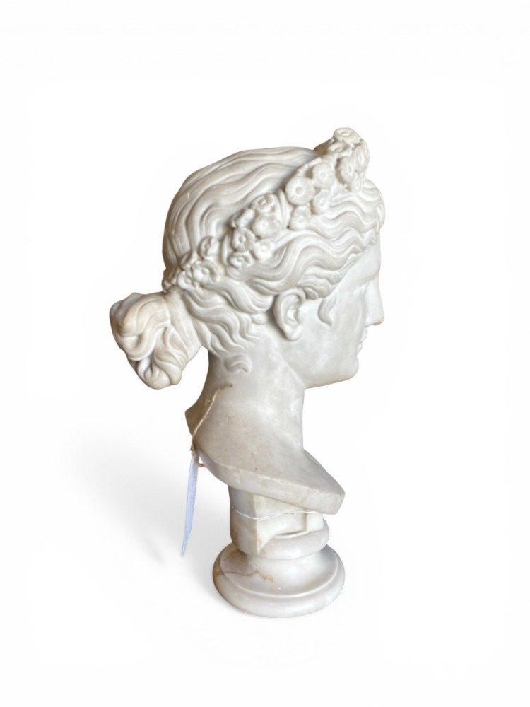 Buste de Vénus-photo-3