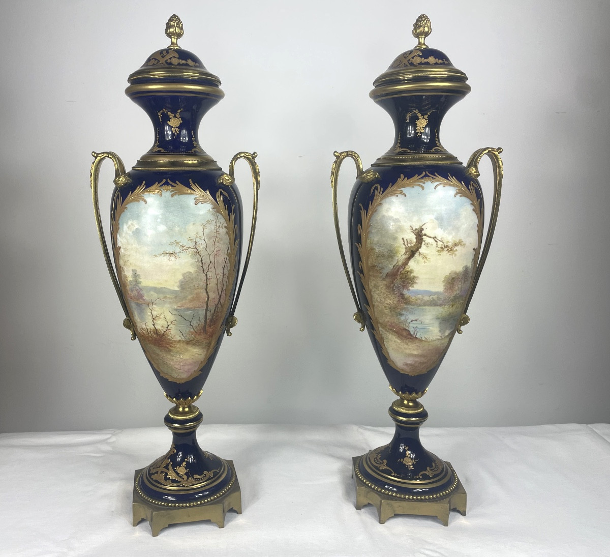 Pair Of Sèvres Vases, 19th Century-photo-7