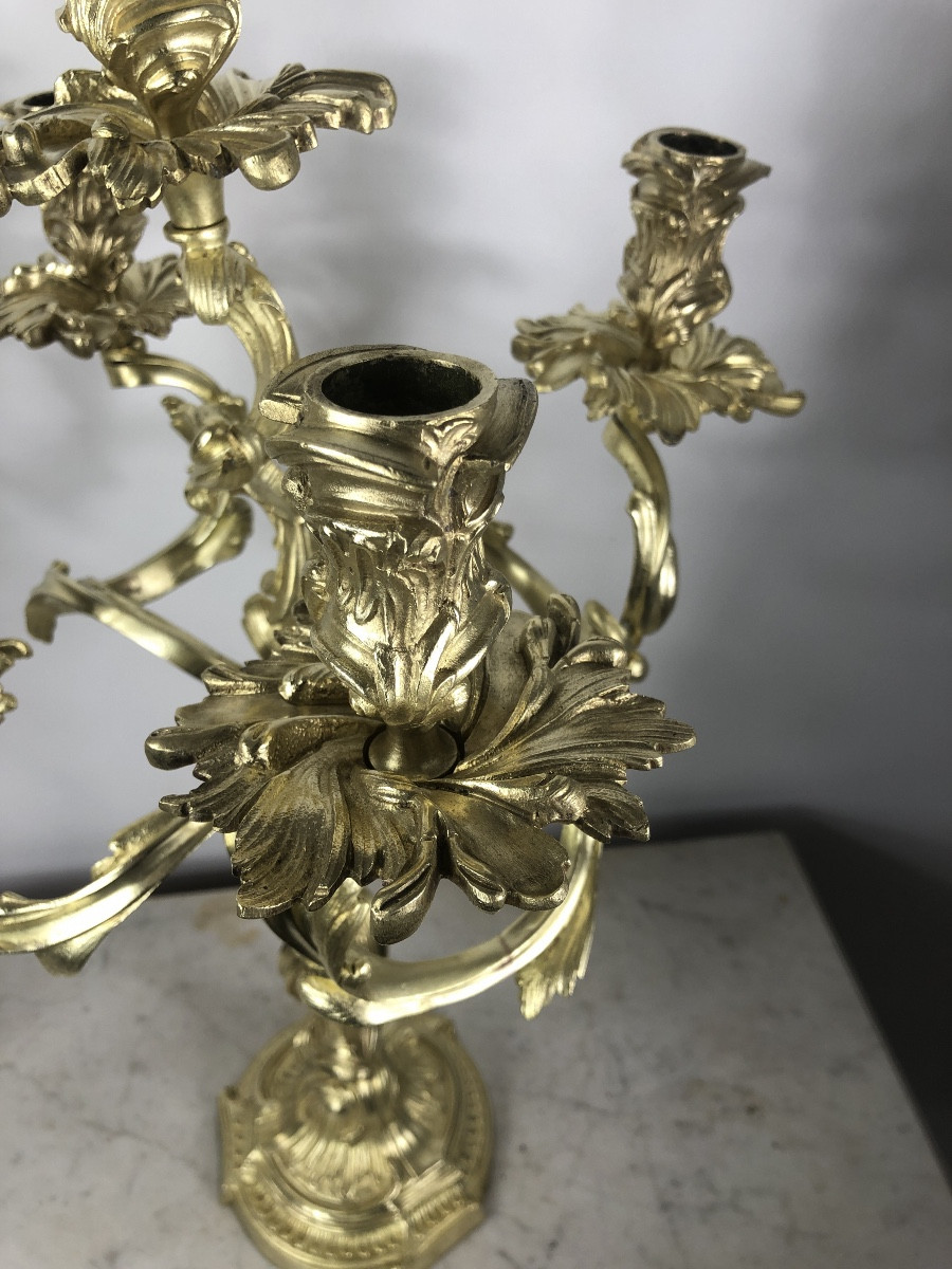 Paire  de candélabres en bronze doré  de  style  Louis XV-photo-6