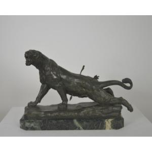  Lionne Blessée En Bronze  Par Charles Valton