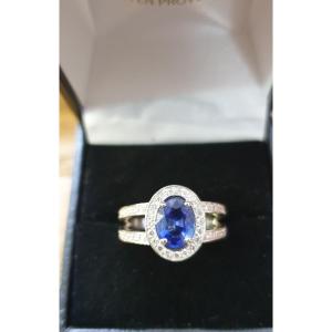 Sapphire Diamond Entourage Ring