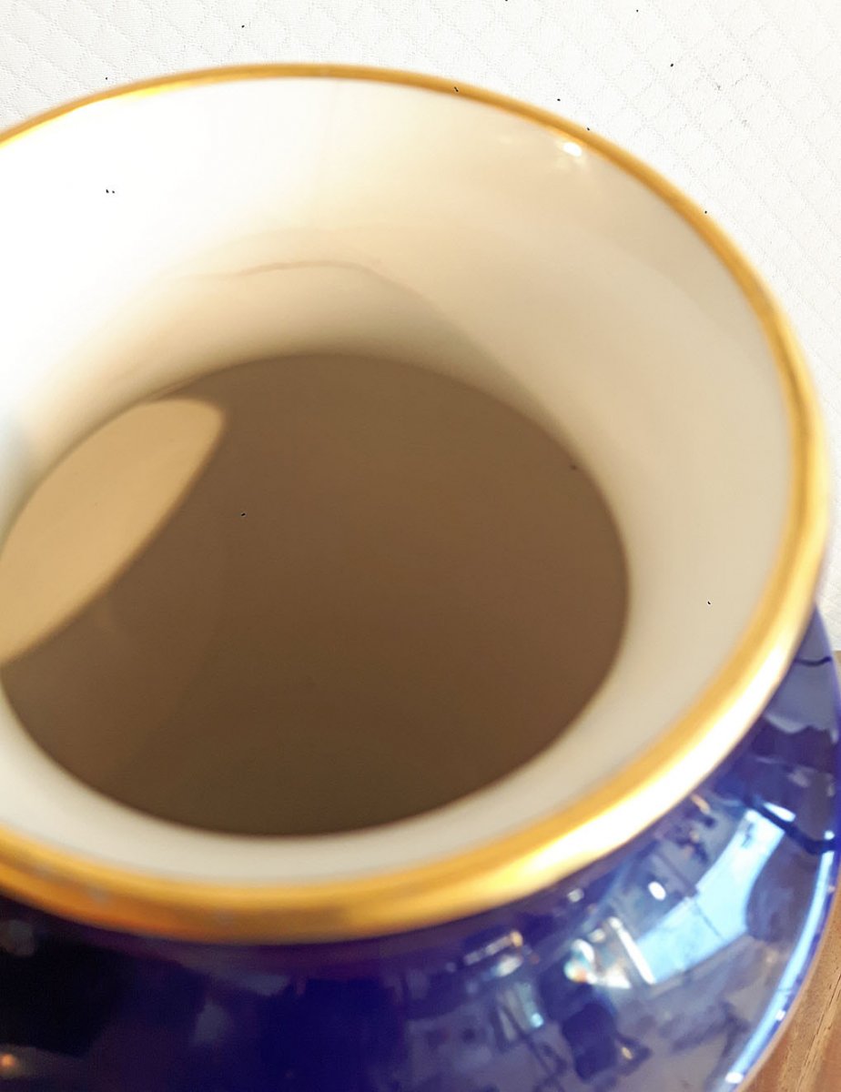 Manufacture De SÈvres (since 1740) - Porcelain Vase-photo-2