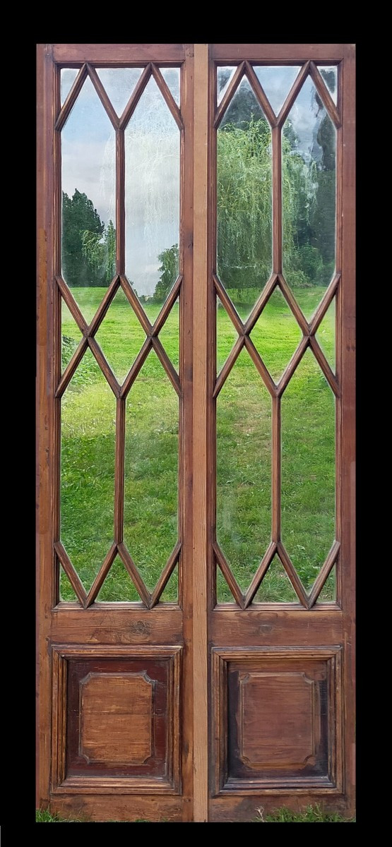 Double porte vitrée ancienne décorative vitres losange bibliothèque vitrine atelier