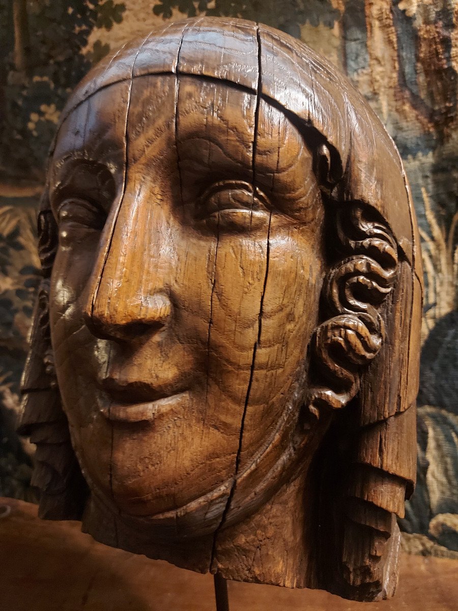 Tête De Dame De Cour-photo-3