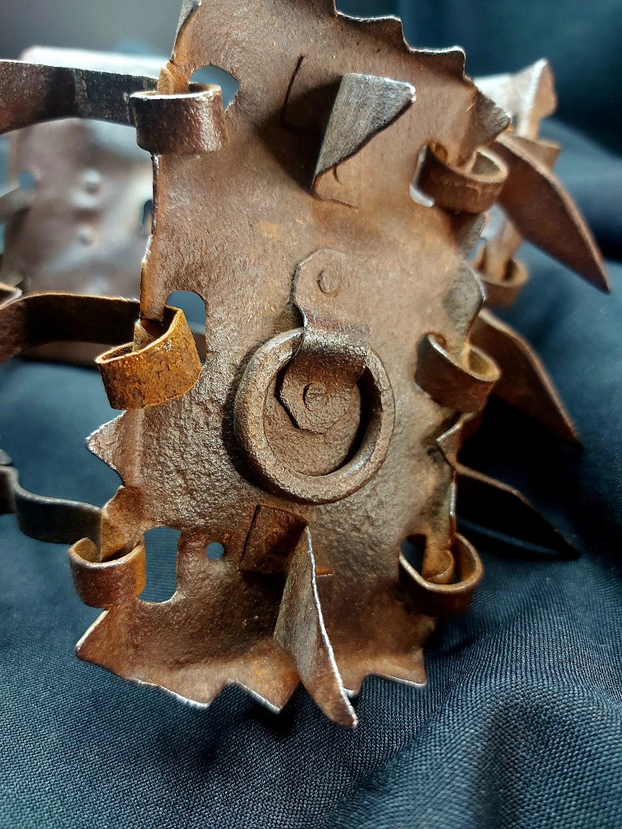 Collier Pour Chien De Berger-photo-3
