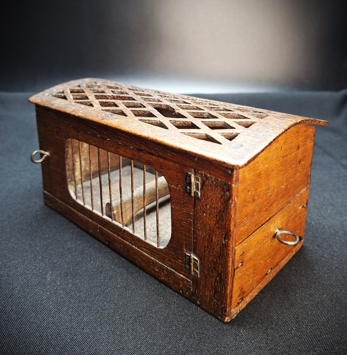 Cage de Transport Pour Un Oiseau