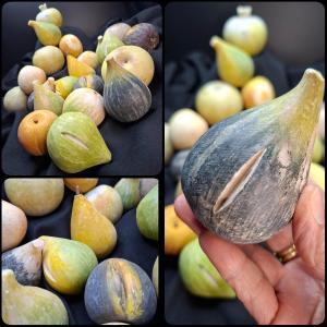 Fruits trompe l'oeil en marbre (21 pièces)