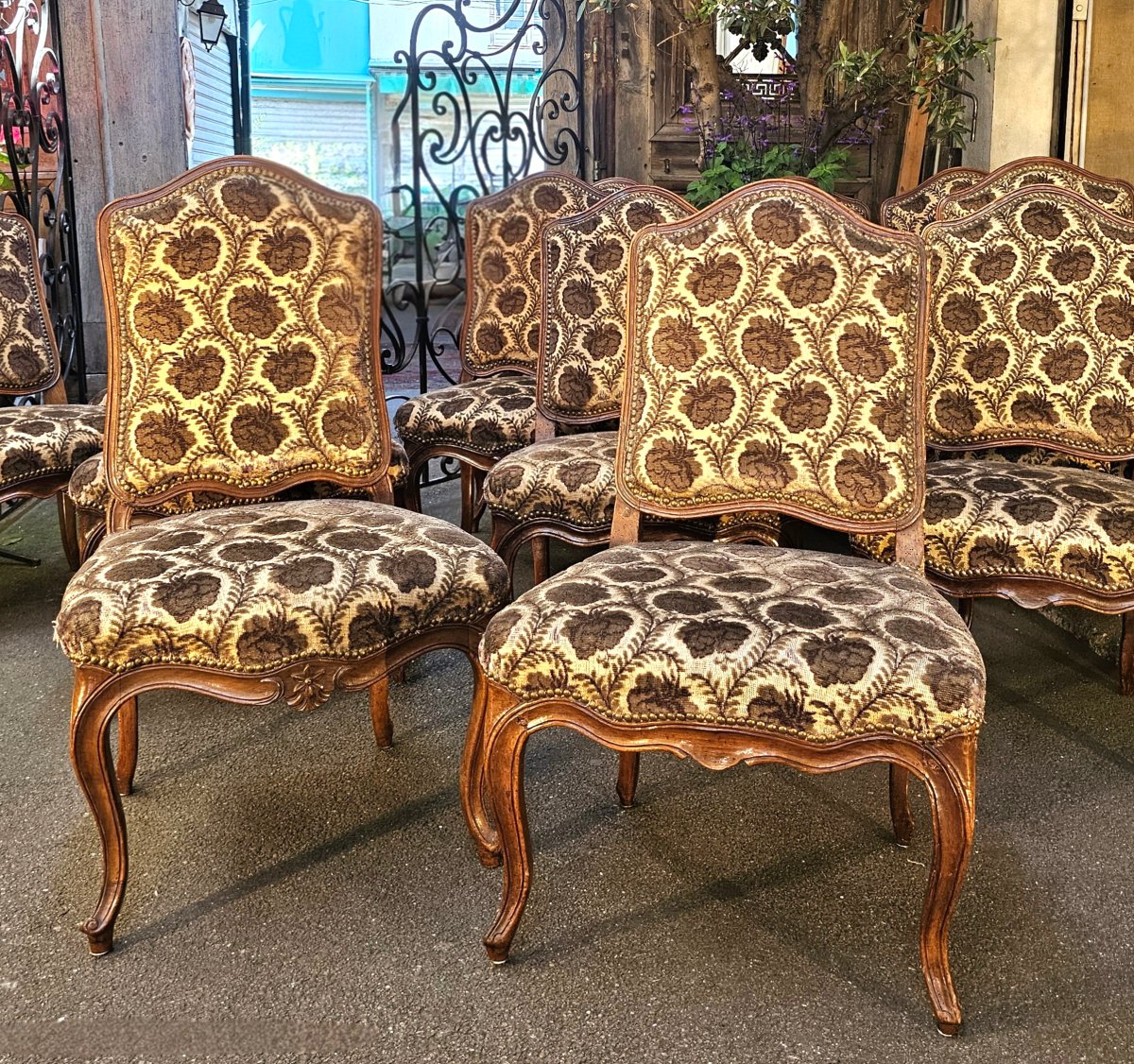 Twelve Walnut Chairs From The 18th Century-photo-2