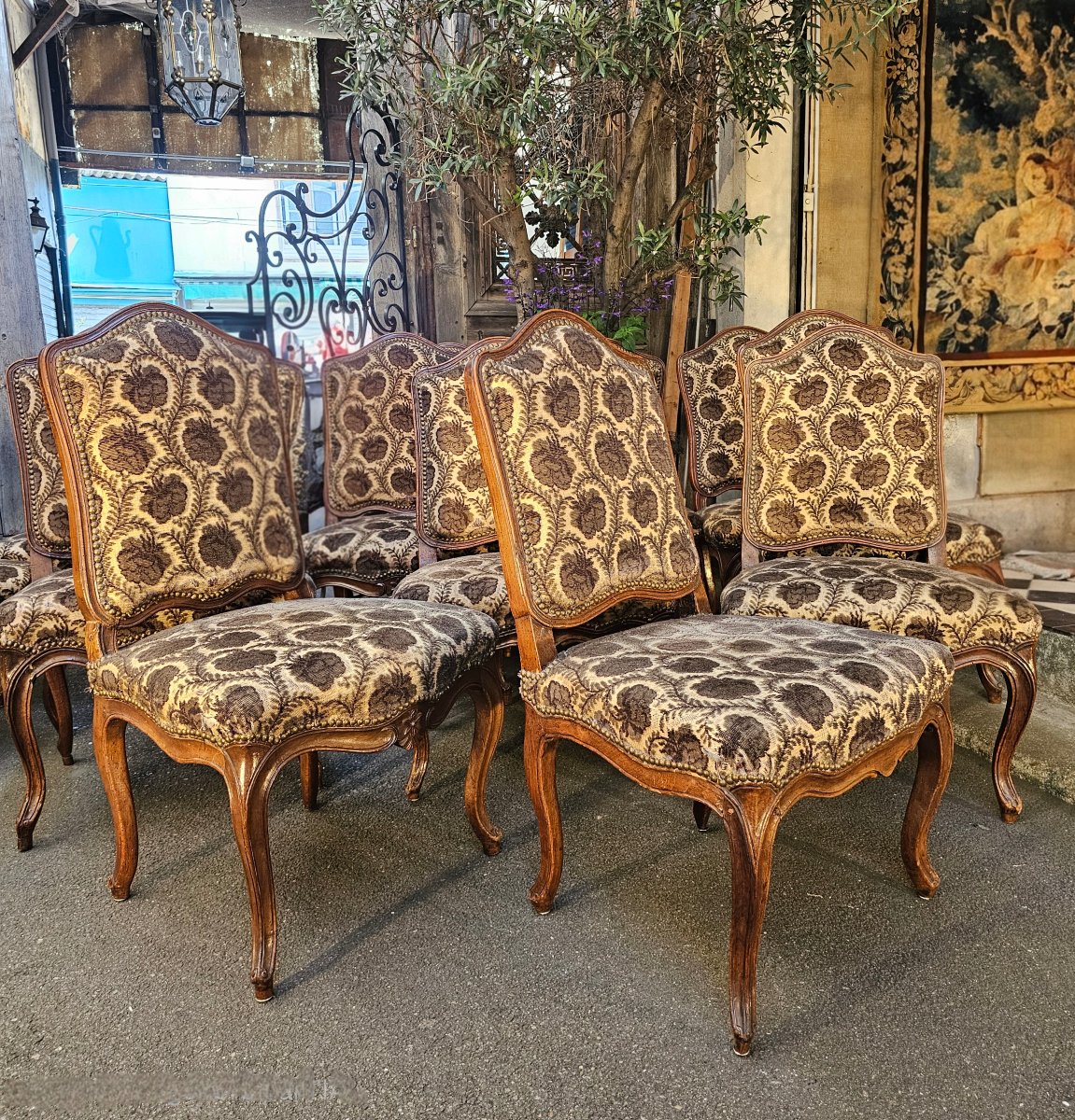 Twelve Walnut Chairs From The 18th Century-photo-3