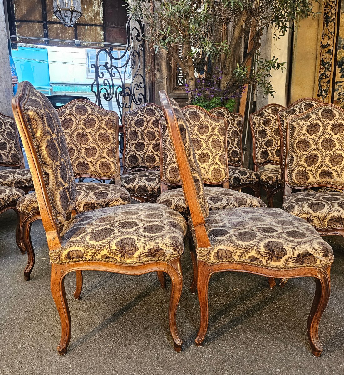 Twelve Walnut Chairs From The 18th Century-photo-4