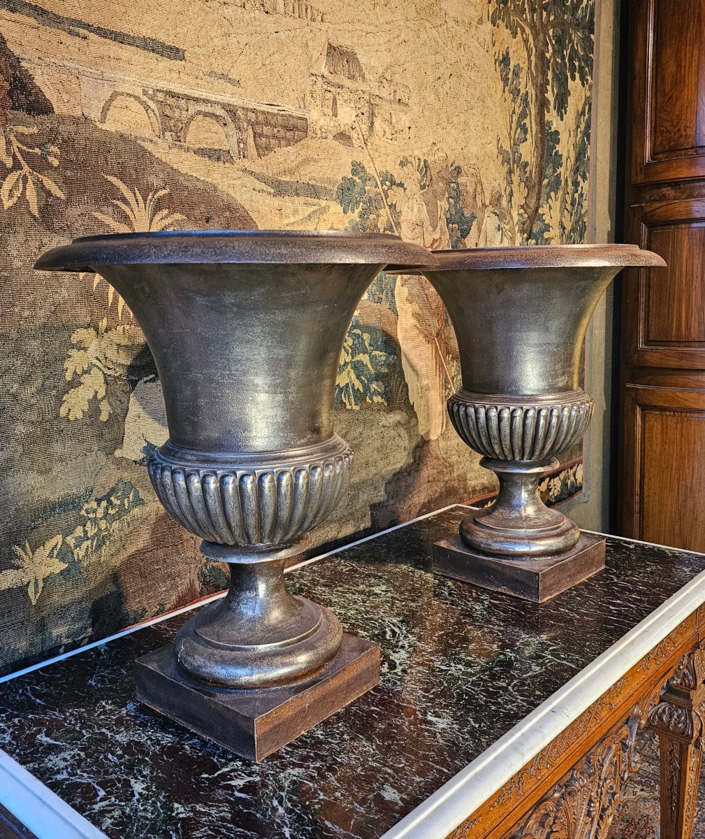 Pair Of 19th-century Medici Vases