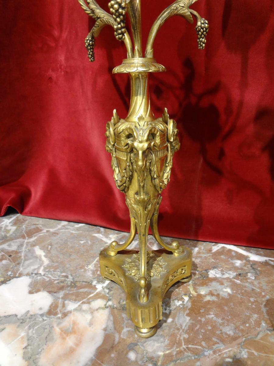 Pair Of Candelabra Louis XVI Style-photo-4