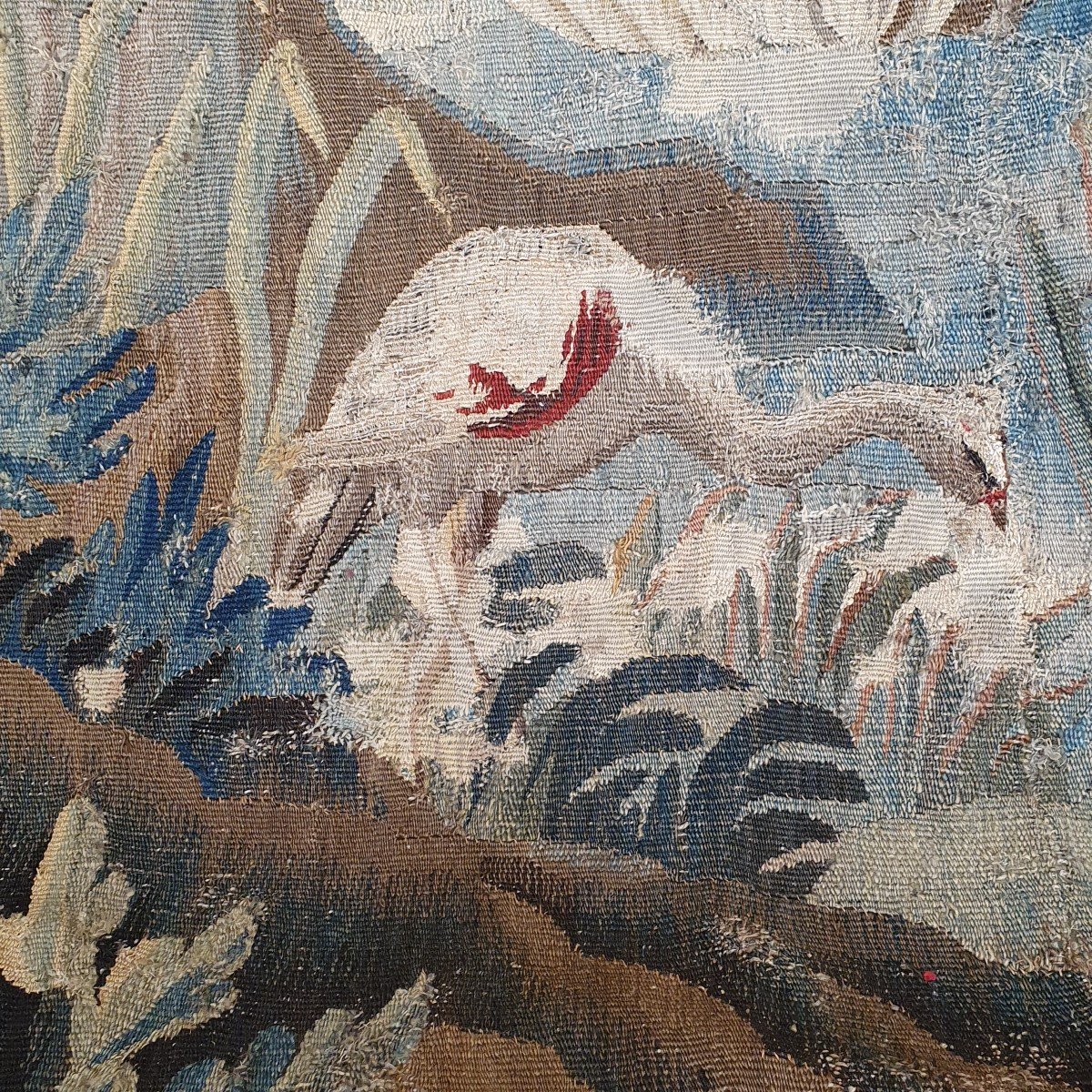 Aubusson Tapestry Louis XV Period-photo-4