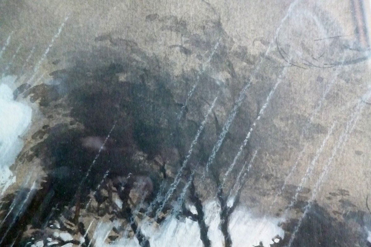 Rare Lavis Rain Landscape-photo-2