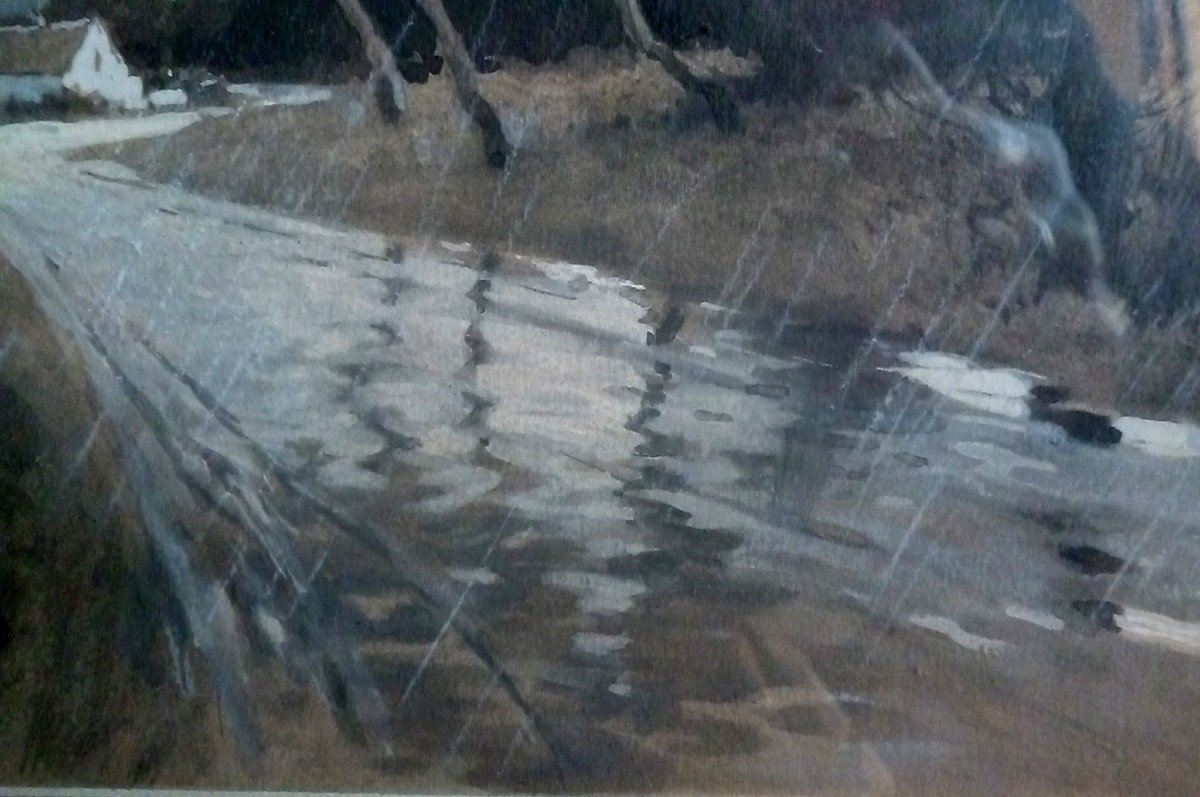 Rare Lavis Rain Landscape-photo-3