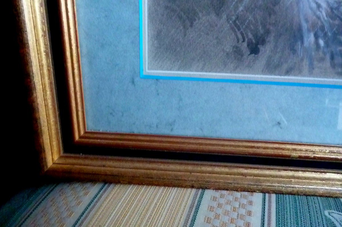 Rare Lavis Rain Landscape-photo-2