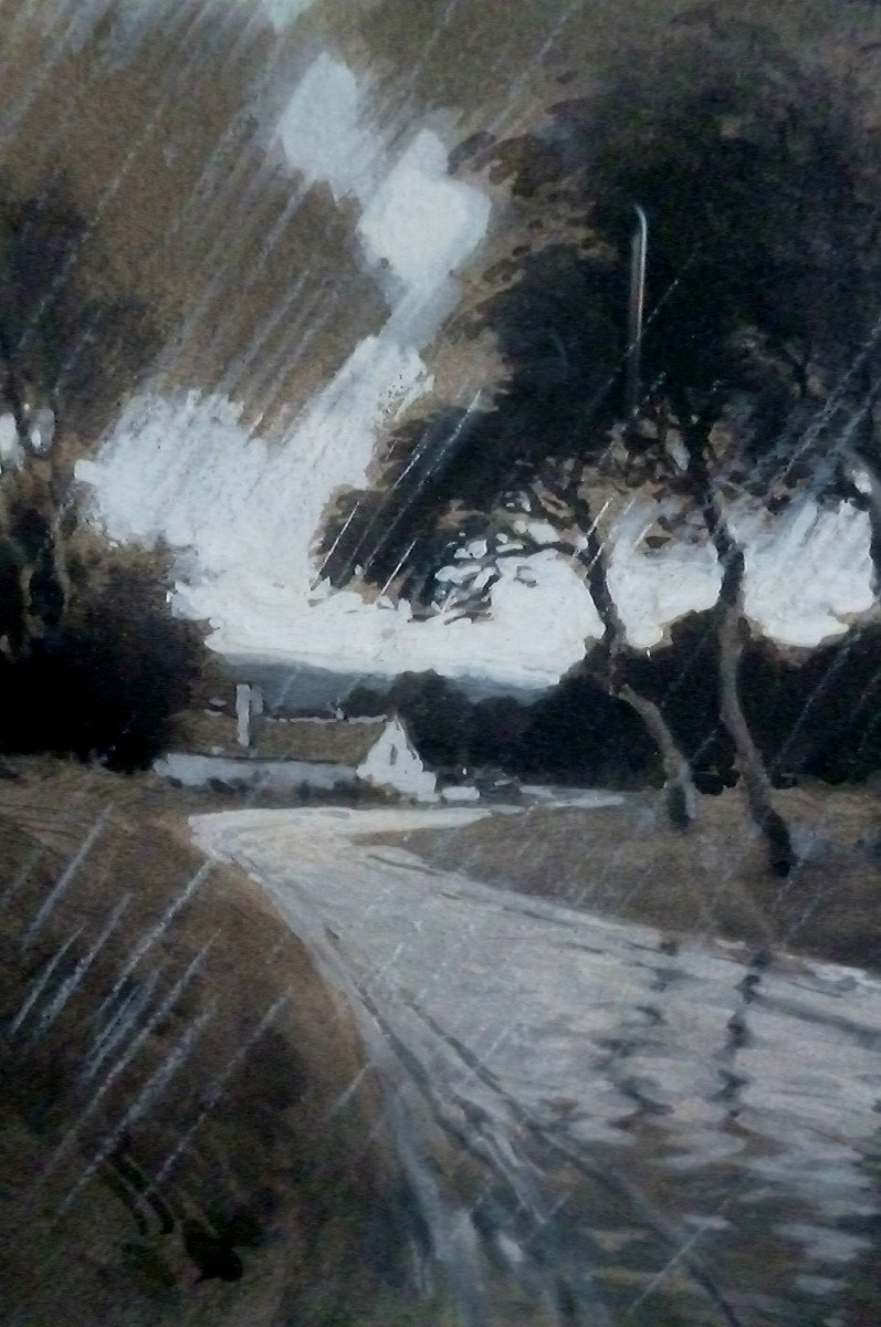 Rare Lavis Rain Landscape-photo-5