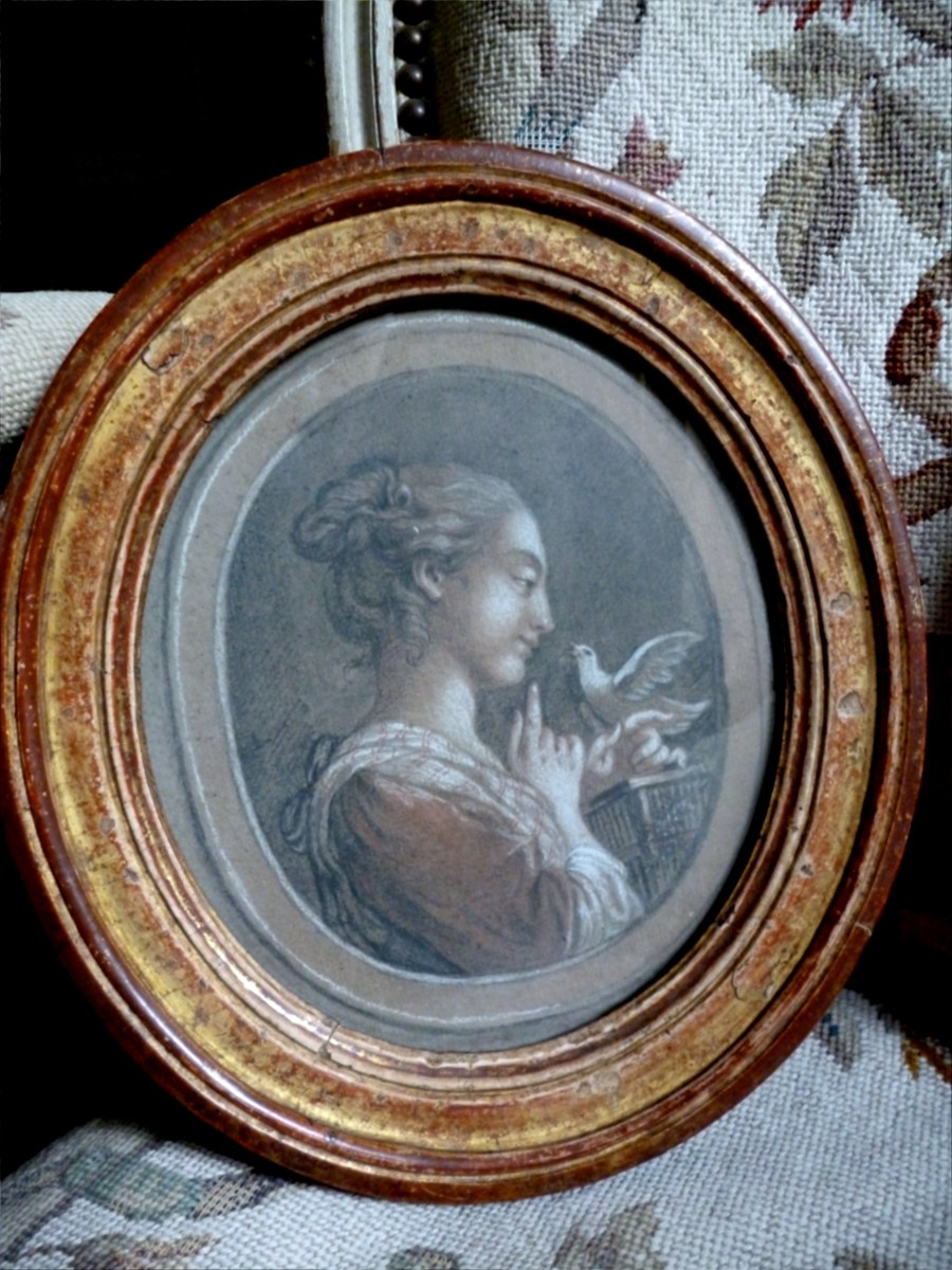 Dessin  Comtesse De BIZY  ,  CHATEAU DE BIZY  Eure-photo-3