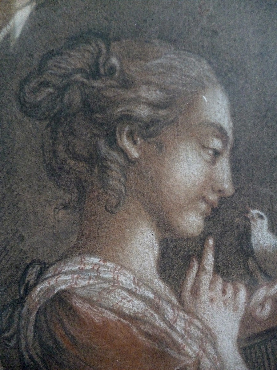 Dessin  Comtesse De BIZY  ,  CHATEAU DE BIZY  Eure-photo-4