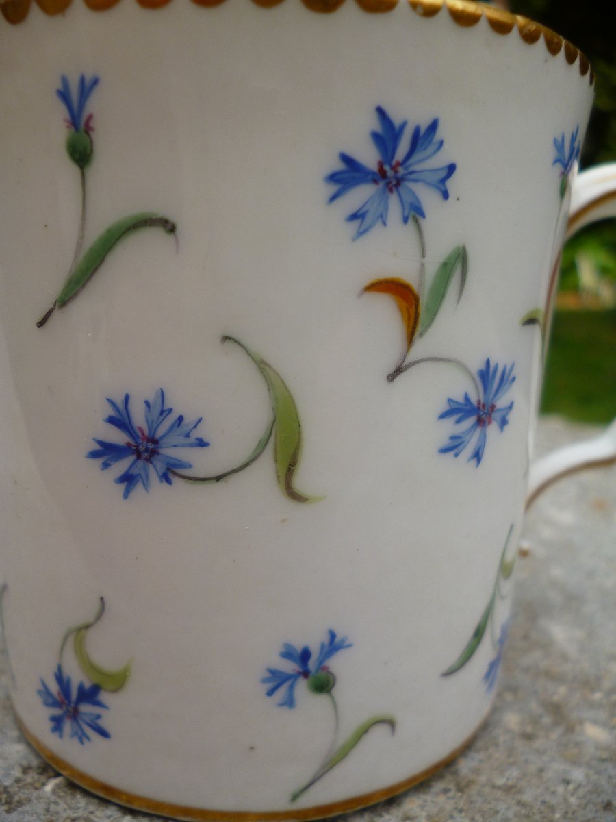 Sèvres Cup, Barbeaux Design, Circa 1780-photo-2