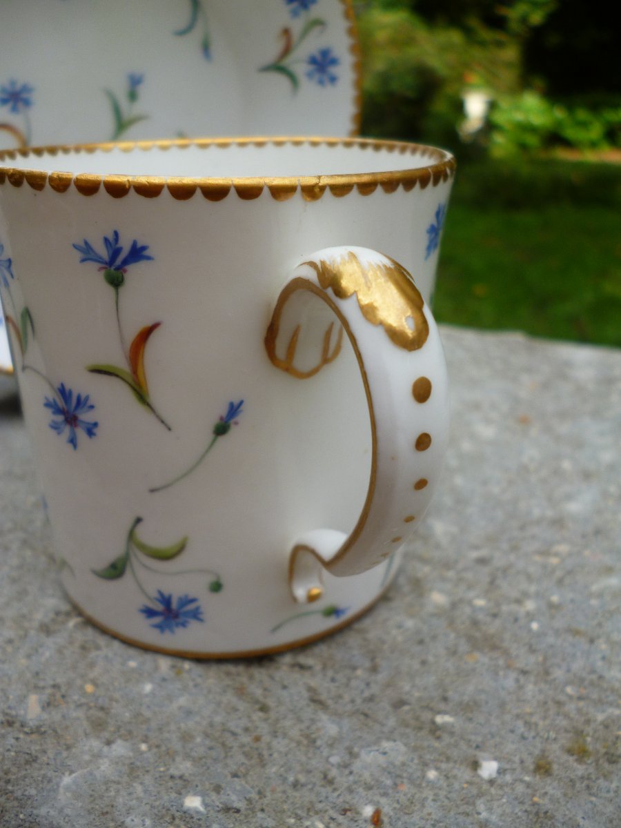 Sèvres Cup, Barbeaux Design, Circa 1780-photo-3