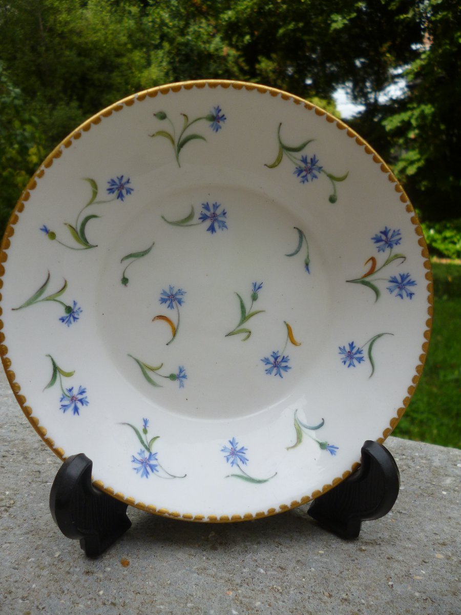 Sèvres Cup, Barbeaux Design, Circa 1780-photo-2