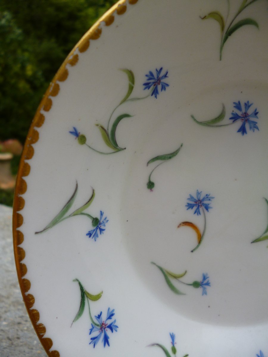 Sèvres Cup, Barbeaux Design, Circa 1780-photo-3