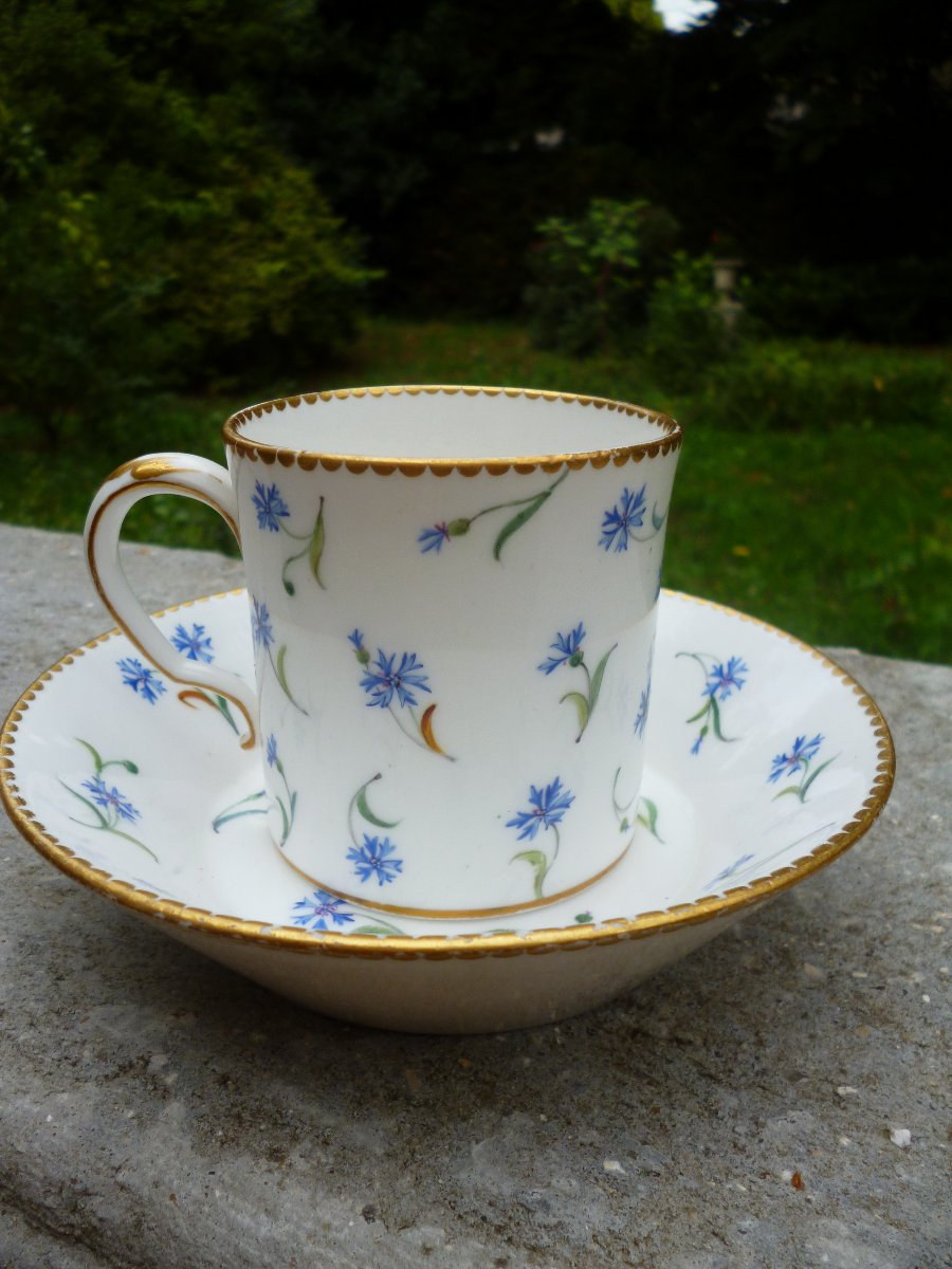 Sèvres Cup, Barbeaux Design, Circa 1780-photo-4