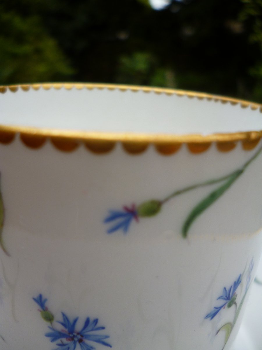 Sèvres Cup, Barbeaux Design, Circa 1780-photo-5