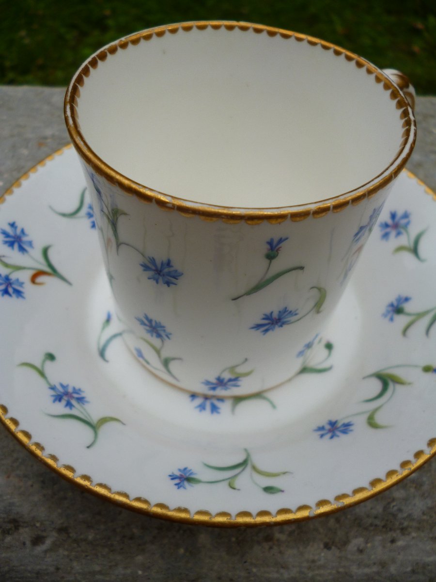 Sèvres Cup, Barbeaux Design, Circa 1780-photo-6
