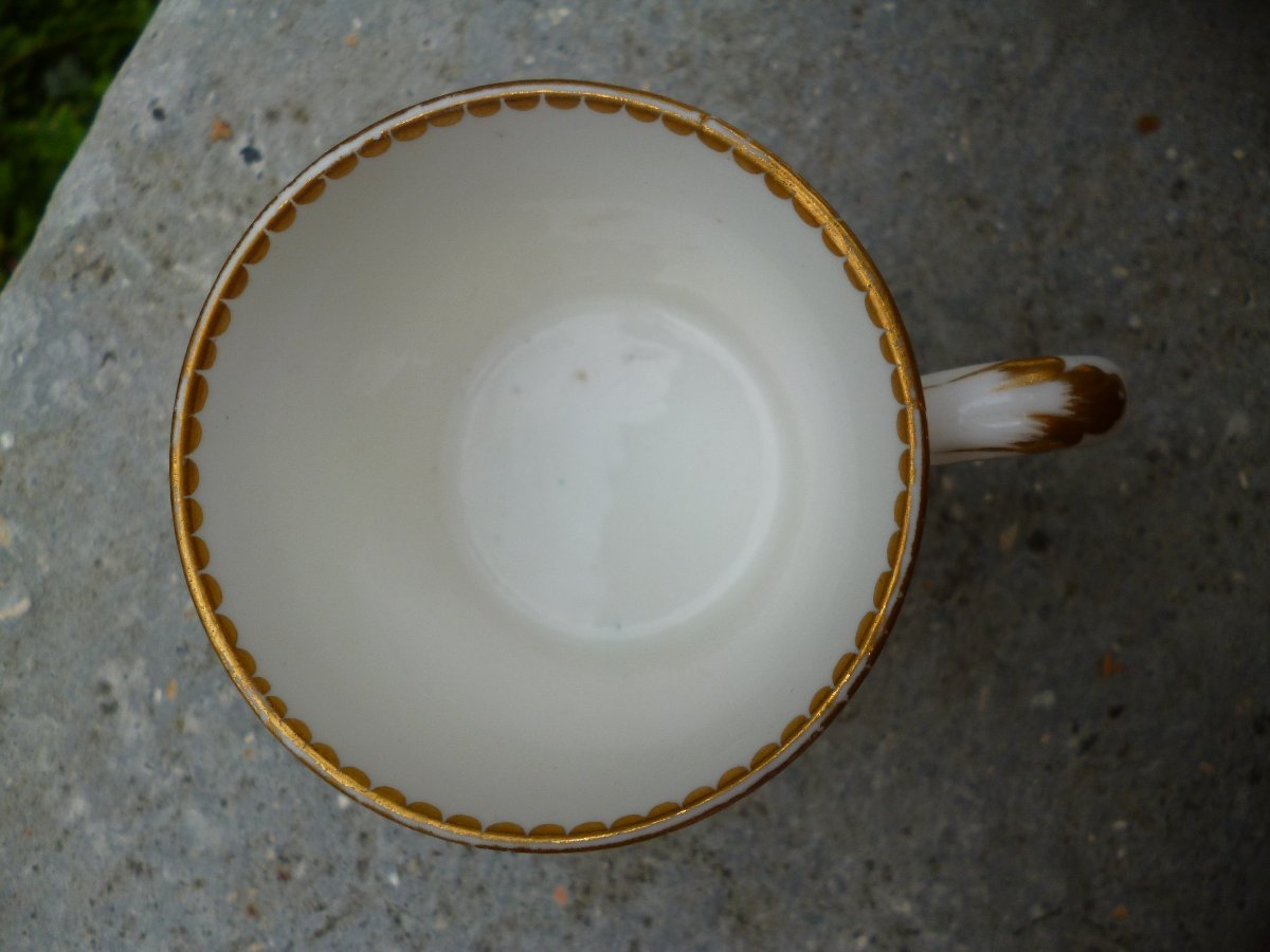 Sèvres Cup, Barbeaux Design, Circa 1780-photo-8