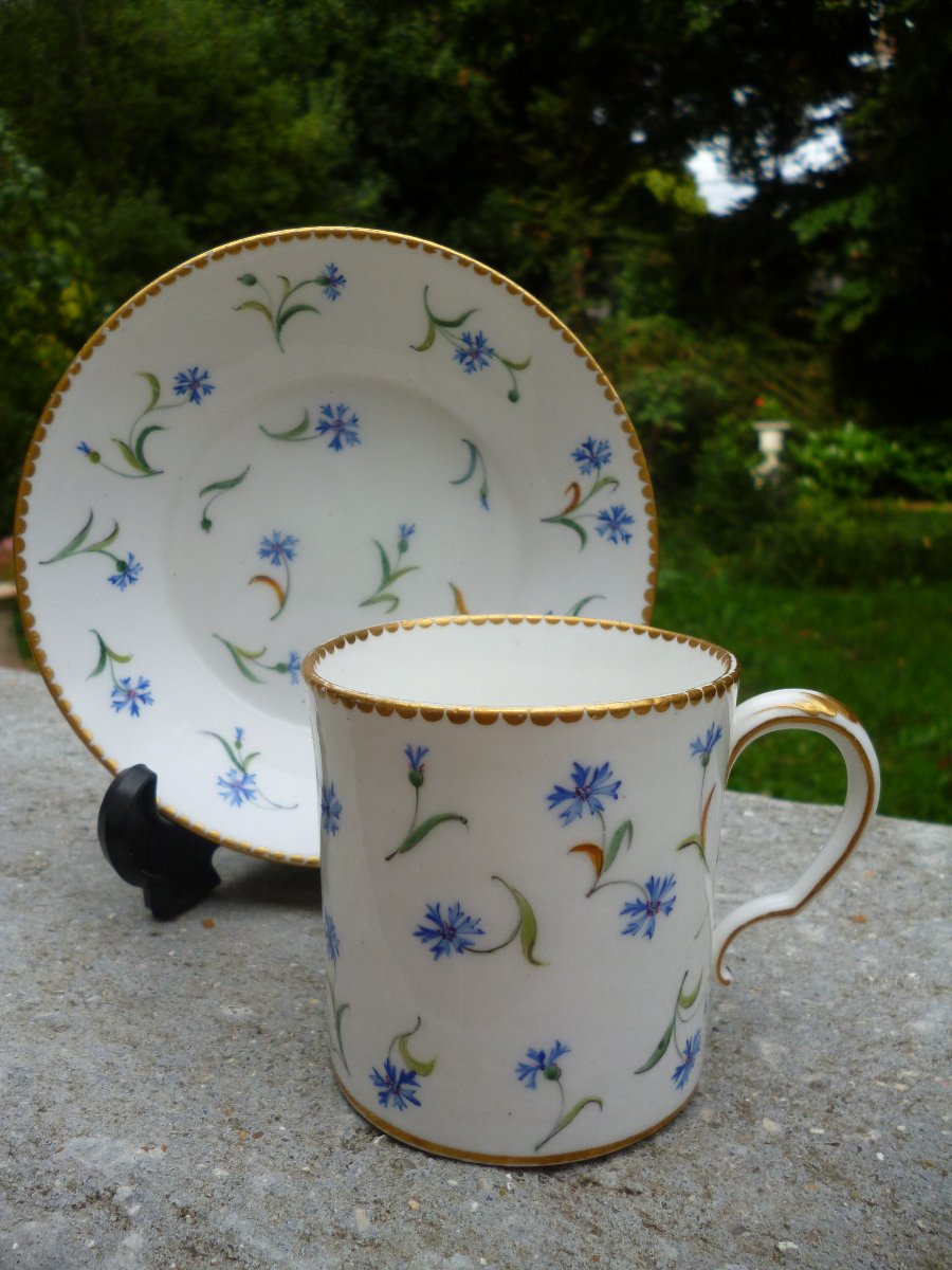 Sèvres Cup, Barbeaux Design, Circa 1780