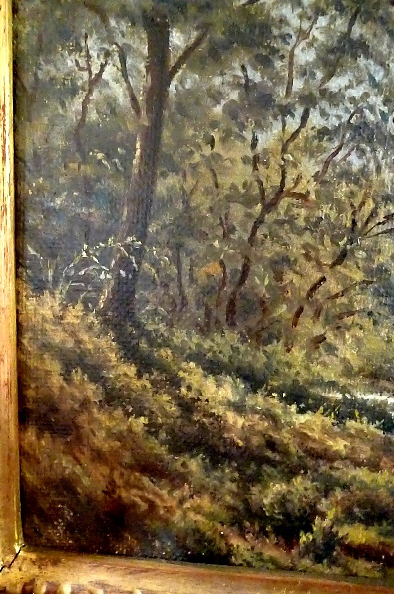  Huile Paysage Sous Bois -photo-1