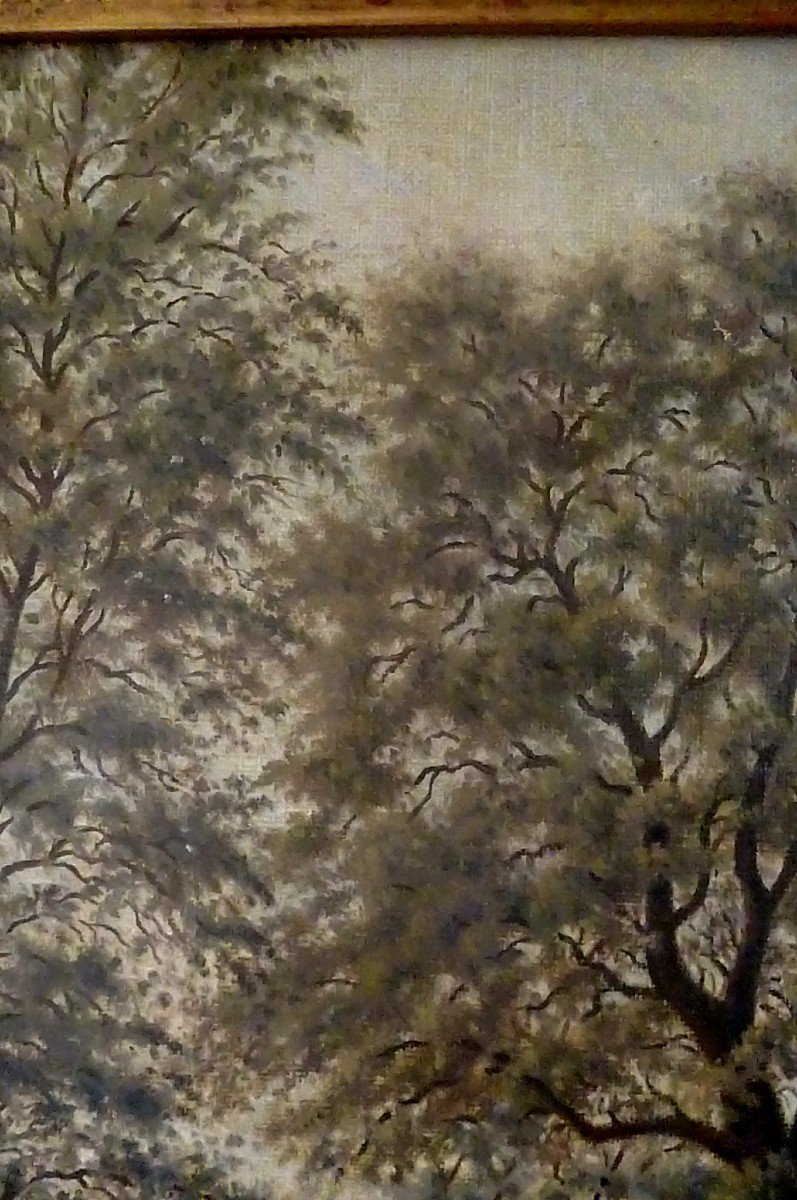  Huile Paysage Sous Bois -photo-2